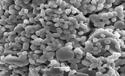 九五至尊VI老品牌值得信任 -官方网站