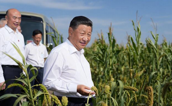 九五至尊VI老品牌值得信任 -官方网站